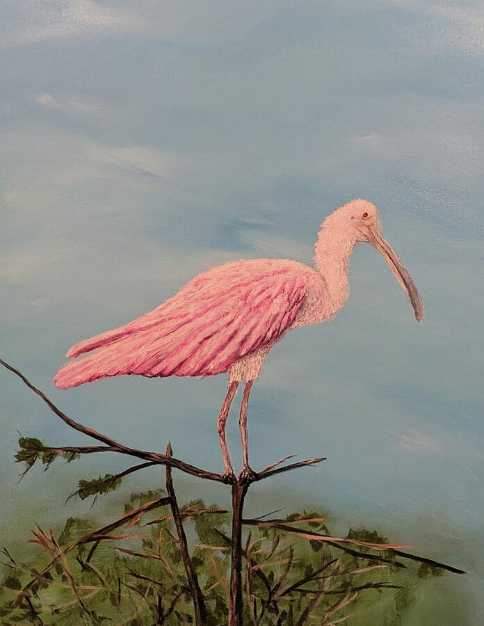 Related original Lowcountry painting Roseate Spoonbill by Leslie Roberts